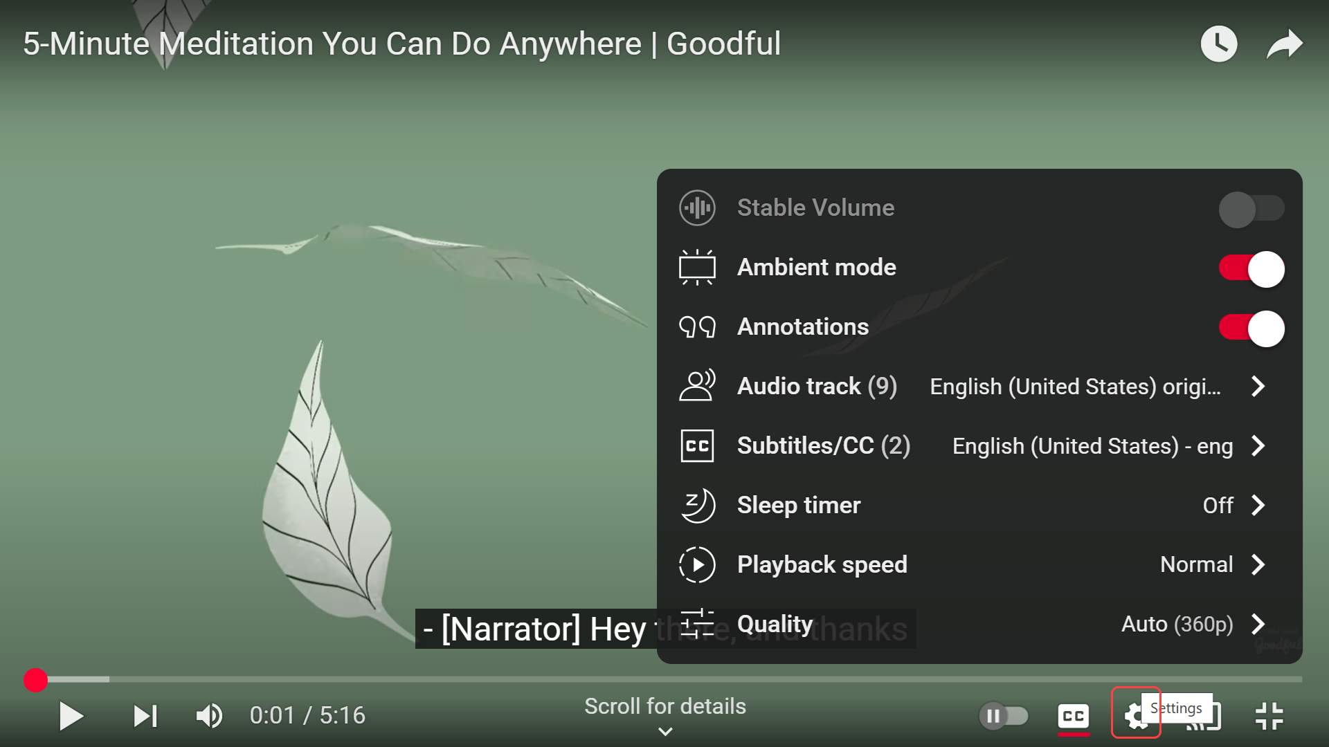 Open the settings menu for captions